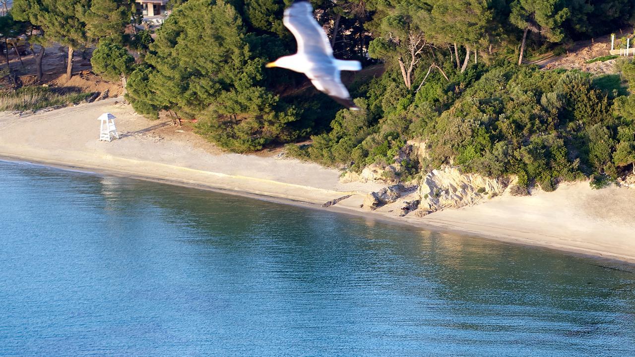 Elivi Skiathos Koukounaries Zewnętrze zdjęcie